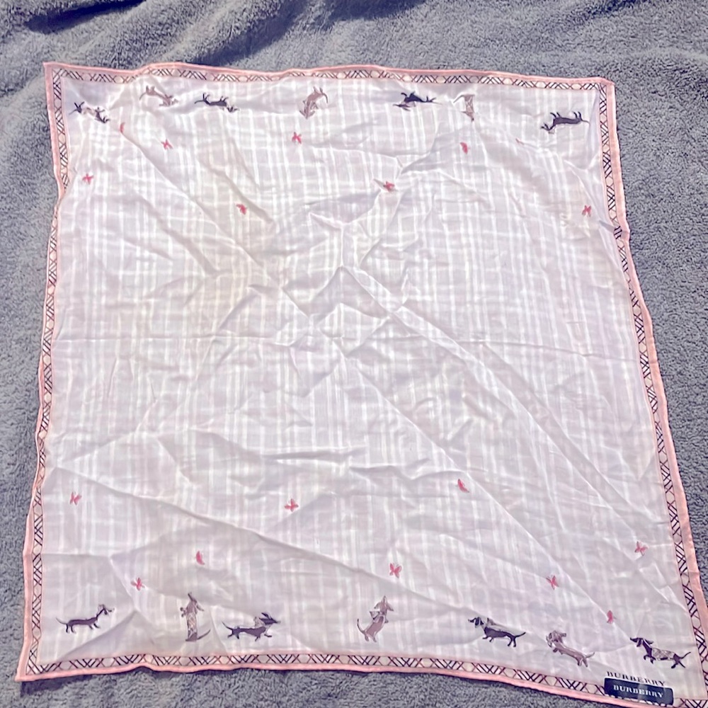 Burberry scarf